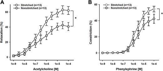 Reactivity of the tibial nutrient artery (TNA) stretched and nonstretched hindlimbs (n = 13) to acetylcholine (A) and phenylephrine (B). Endothelium-mediated dilation to acetylcholine was greater in TNA of stretched limbs as compared with TNA from nonstretched limbs (*P < .01). Phenylephrine-induced constriction was greater in TNA from stretched limbs as compared with TNA from nonstretched limbs (*P < .05).