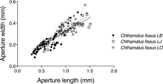 Aperture width (mm) as a function of aperture length (mm) for barnacles Chthamalus fissus growing on Mexacanthina lugubris lugubris. LB, Laguna Beach, CA, USA; LJ, La Jolla, CA, USA; LO, Las Olas, Baja California, Mexico.