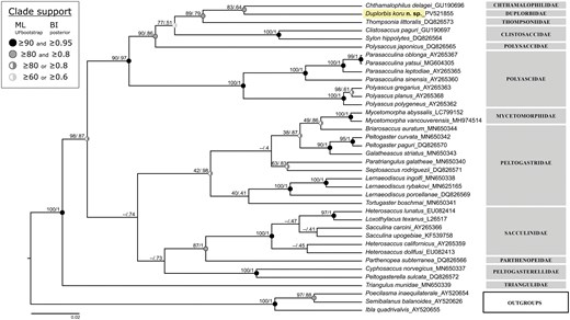 https://doi.org/10.1093/jcbiol/ruaf036 social preview image