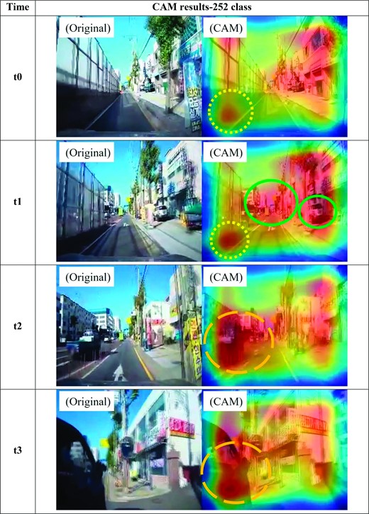 CAM results for the class 252: t = time, original = raw input video, CAM = 252 class CAM results.