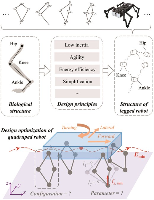 A graphical representation of the robotic limb design optimization problem. After generalizing the design principles of the robotic limbs, one of the research questions is how to obtain the optimal leg design for given basic tasks and robot model parameters towards minimizing energy costs.