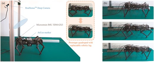 (a) Hardware verification setup. (b) Overlaid snapshots of a quadruped with Bennett robotic limb for forward locomotion task. (c) Overlaid snapshots of a quadruped with a nominal planar robotic limb. (d) Overlaid snapshots of a quadruped with an optimized planar robotic limb.