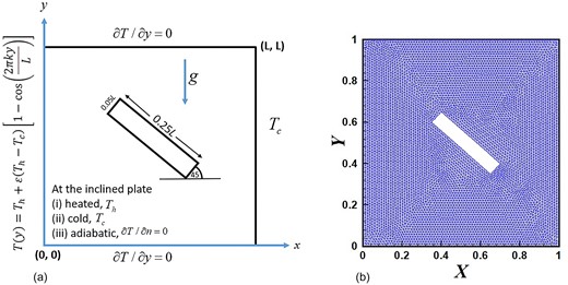 (a) Schematic design and (b) mesh layout of the proposed cavity.