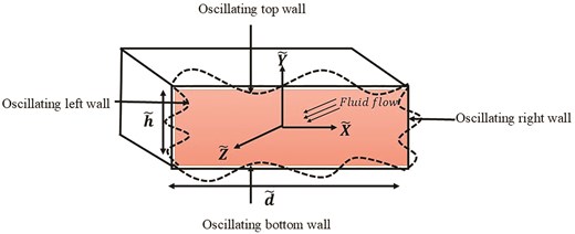 Geometry of oscillatory duct.