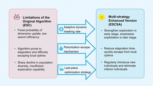 Two-column diagram comparing ESC limitations (pink box: fixed dimension update probability, stagnation tendency, diversity decline) with three improvement strategies (arrows) leading to ESCSA enhancements (blue box: adaptive masking, reduced stagnation, elite renewal).
