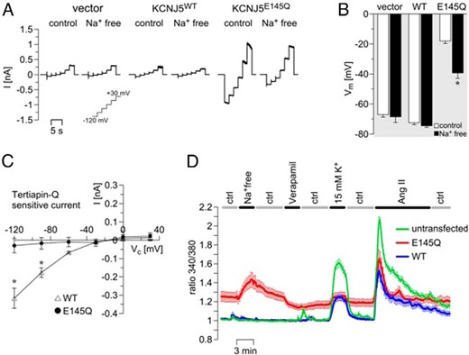 The Kir3.4 p.Glu145Gln mutation induced a Na+ influx and increased intracellular Ca2+ levels in adrenal NCI-H295R cells.