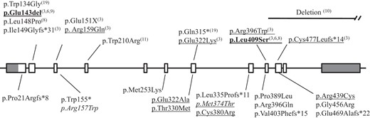CYP24A1 mutations in patients with hypercalcemia (present study and literature).