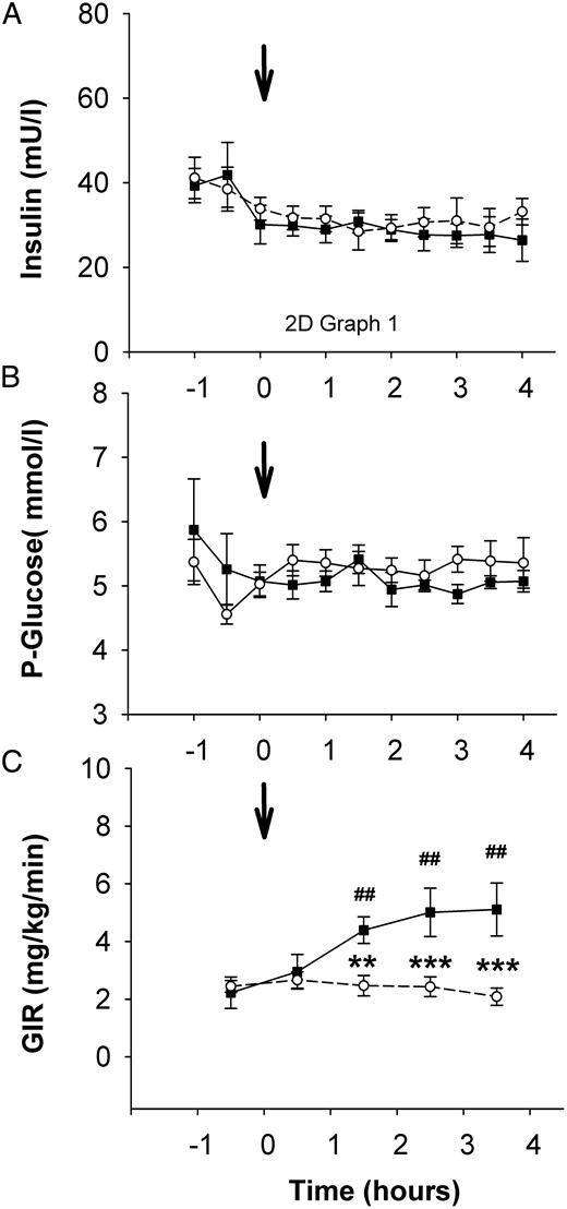 A–C, Serum insulin (A) and plasma glucose (B) concentrations and mean GIR calculated in 1-hour fractions (C).