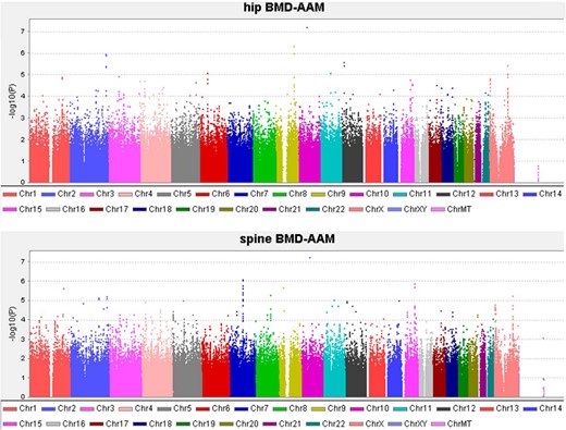 Distribution of P values across the genome for bivariate association analyses in the Chinese sample.
