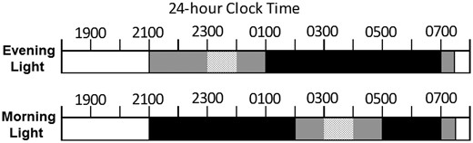 Participants completed either the evening (top) or morning (bottom) laboratory protocol on four consecutive nights to receive all four light levels (∼0.1, 15, 150, and 500 lux).