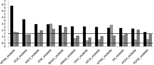Protein ratios in orbital tissue of patients with TAO.