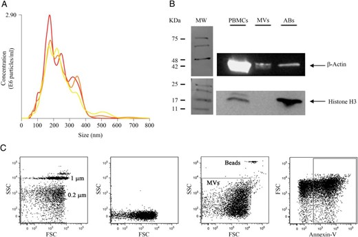 Characterization of circulating MVs.