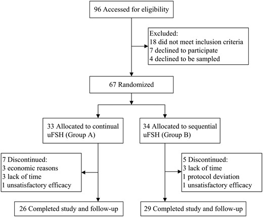 Flow chart of randomization of subjects and follow-up.