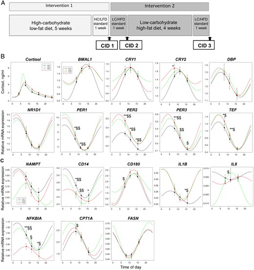 Influence of the diet switch on cortisol rhythm and diurnal oscillations of gene expression in monocytes in humans.