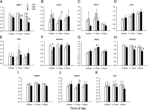 Influence of LC/HFD on the expression of nonoscillating metabolic and inflammatory genes in monocytes.