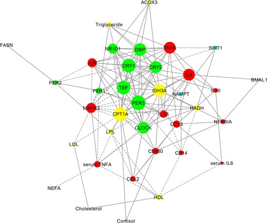 Involvement of clock genes in the regulation of inflammation and fat metabolism in humans.
