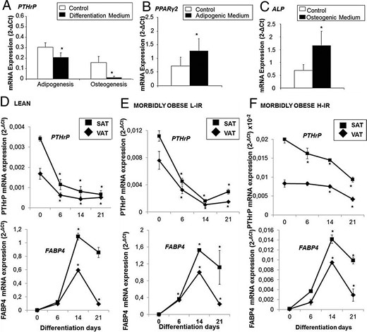 mRNA expression levels during VAT human MSC (A-hMSC) differentiation into adipocytes and osteocytes.