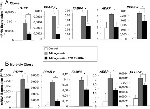 Effects of PTHrP silencing on mRNA expression levels of adipogenic markers after differentiation of human VAT A-hMSC, from obese and MO subjects into adipocytes.