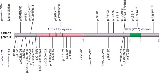 ARMC5 somatic or germline mutation distributions.