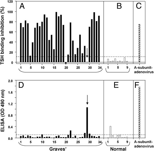 Pathogenic autoantibodies in Graves' sera do not recognize 'inactive' TSHR A-subunits.