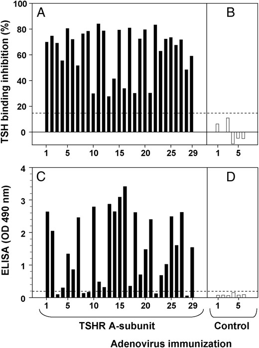 Pathogenic TSHR antibodies induced in mice by TSHR A-subunit DNA immunization also recognize inactive A-subunits.