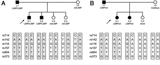 Pedigrees and single nucleotide polymorphism haplotype analysis.