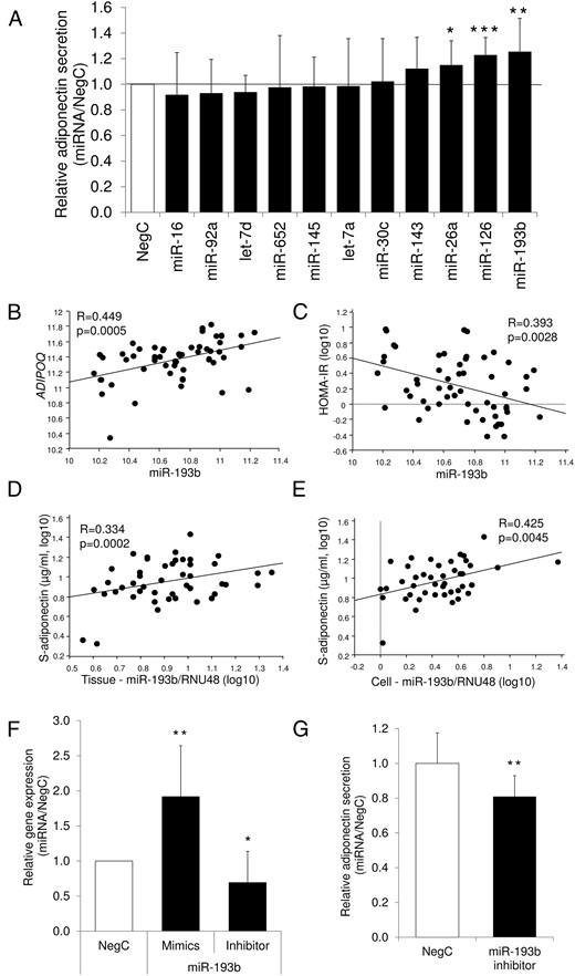 Regulation of adiponectin by miRNAs.