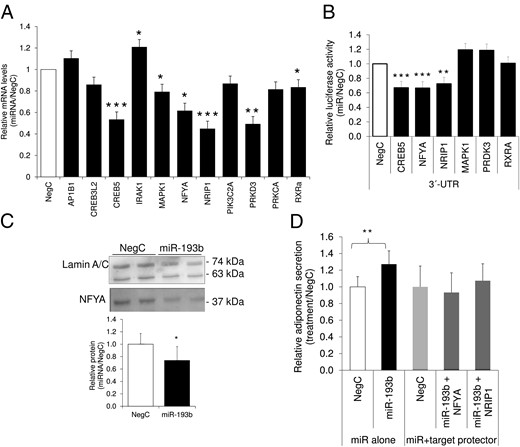 MicroRNA-193b controls adiponectin via negative regulators NF-YA and NRIP1.