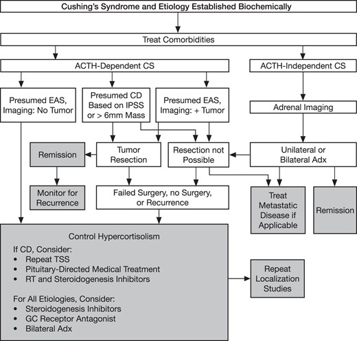 An algorithm for the treatment of CS.