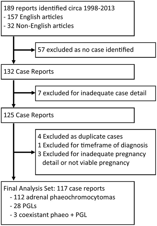Schematic of articles included in the systematic review.