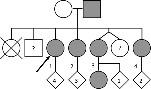 Family pedigree.