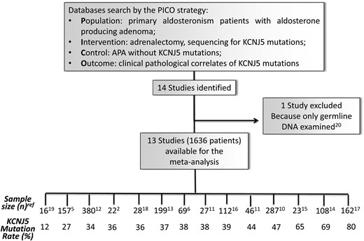 Flow chart of the study with the size and prevalence of KCNJ5 mutations in aldosterone-producing adenoma (APA) in each study.