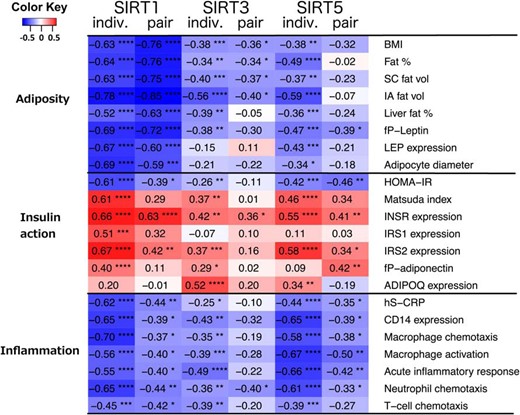 Correlations of SIRTs in SAT with different clinical and gene expression parameters in SAT.