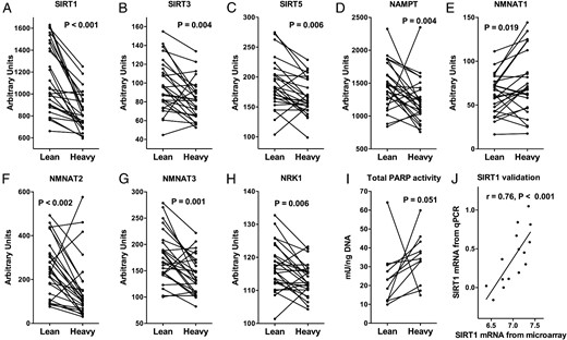 SAT expression of SIRT1 (A), SIRT3 (B), SIRT5 (C), and NAD+-biosynthesis genes (D–H) in lean and heavy BMI-discordant twins (BMI difference > 3 kg/m2; n = 52).