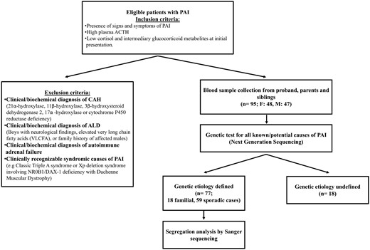 Overview of the study design, recruitment, and outcome of genetic analysis.