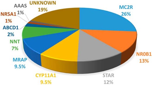 Pie chart showing the percentage of mutations in each gene in this cohort of children with PAI.