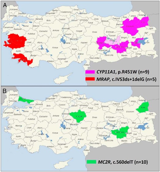 Geographical distribution of recurrent mutations identified in this study.