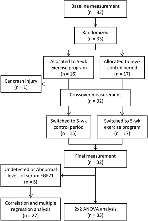Flow diagram of the participants in the randomized crossover trial.
