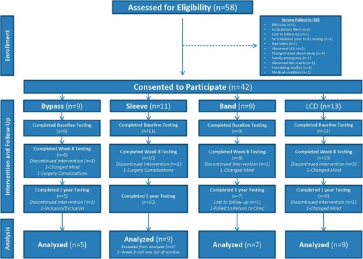 Flow diagram describing recruitment, study flow, and follow-up of participants.