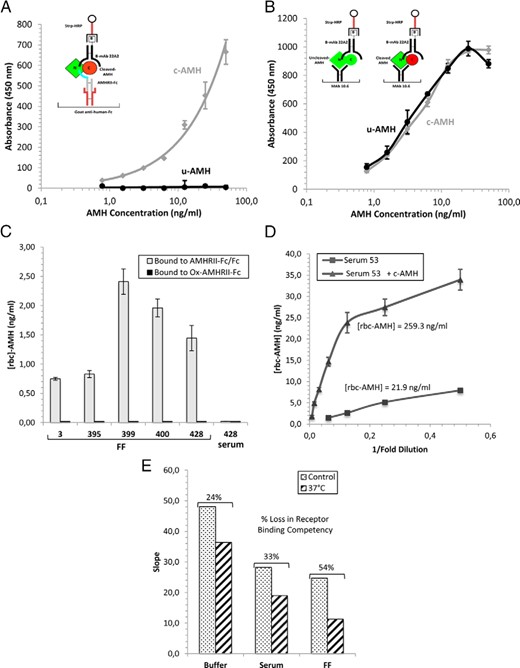 Analysis of AMH in body fluids with the receptor ELISA. A, The receptor ELISA detects only cleaved AMH. The schematic diagram in the inset shows the receptor ELISA format used to detect AMH competent for binding AMHRII. AMHRII-Fc/Fc was captured on a goat antihuman Fc Ab coated on the ELISA plate and incubated with c- and u-AMH at various concentrations. Bound AMH was detected with a biotinylated anti-C-terminal mAb (22A2) and streptavidin conjugated to HRP. B, The ELISA for total AMH detects c- and u-AMH with similar sensitivity. The schematic diagram shows the ELISA format for detecting both cleaved and uncleaved AMH precursor (total AMH). AMH was captured on an anti-N-terminal AMH mAb (10.6) and detected as described above. C, The receptor ELISA was used to measure rbc-AMH levels in PCOS FF and serum samples at four dilutions in duplicate. No signals were obtained when the inactive oxidized receptor (Ox-AMHRII-Fc) was used in place of AMHRII-Fc/Fc, indicating the signals obtained with AMHRII-Fc/Fc are due to specific binding. D, c-AMH added to male serum sample 53 can be detected with the receptor ELISA. Sample 53 (with or without 200 ng/ml c-AMH added) was assayed at various dilutions in the receptor ELISA in duplicate. When sample 53 was assayed by itself, the level of rbc-AMH detected with the receptor ELISA was 21.9 ng/mL (determined from the three lowest dilutions), despite containing 192 ng/mL cleaved AMH as assessed by biochemical analysis. When sample 53 containing 200 ng/mL c-AMH was assayed, the level of rbc-AMH detected was 259 ng/mL (determined from the four lowest dilutions), showing that the added c-AMH can be detected. E, c-AMH loses receptor binding competency when incubated at 37°C for 5 days. c-AMH was incubated for 5 days at 37°C in either ELISA buffer (1% BSA, 1% goat serum in PBS) or serum or FF at 200 ng/mL and then assayed in the receptor ELISA at various dilutions in duplicate. Control samples were prepared immediately before the ELISA assay and kept on ice prior to the assay. Slopes were determined from the lowest dilutions in which the slopes were linear. c-AMH shows a decrease in receptor binding competency of 24%, 33%, and 54% after 5 days at 37°C in the ELISA buffer, serum, or FF, respectively. The differences in the slopes of the control curves are due to the AMHRII binding component in serum and FF, which reduces the amount of AMH that can bind to the plate. Data points in panels A, B, and D are averages of two replicates and error bars represent SE; data in panel C are also shown in Table 3 and represent mean values ± SE.