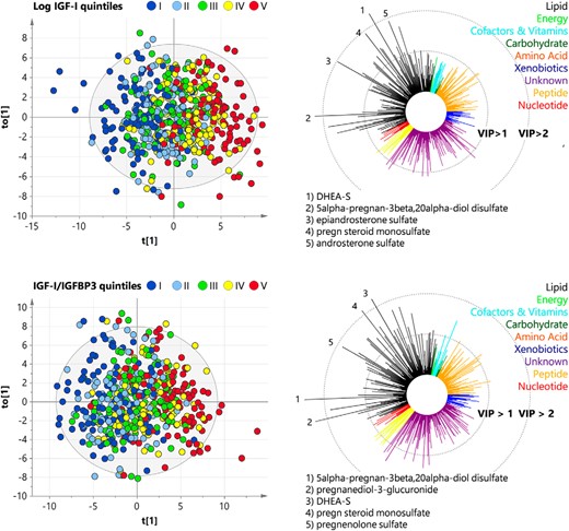 OPLS regression analyses for modeling IGF-1 and IGF to IGFBP-3 ratio based on plasma metabolites among women. Left panels, OPLS score plots for log(IGF-1) (top line) and IGF-1 to IGFBP-3 ratio (bottom line) showing the predictive component t(1) and the first orthogonal component t0(1). Values were colored according to quintiles of distribution of either IGF-1 or the IGF-1 to IGFBP-3 ratio using a blue (low) to red (high) gradient. Right panels, Corresponding variable influence on projection (VIP) values of the predictive component. The five metabolites with the highest VIP were mentioned. Colors refer to physiological entities of metabolites.