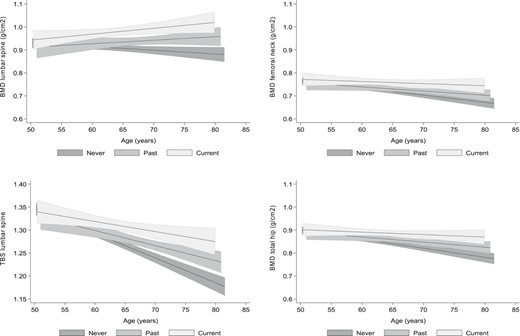 Graphic representation of the BMI-adjusted association and corresponding 95% CI of BMD and TBS with age, according to the menopausal HT group: CU (light gray), PU (medium gray), and NU (dark gray).