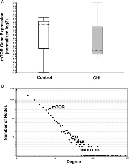 mTOR gene expression and inferred functional relevance as assessed by degree in a network model of CHI associated gene expression. A, Differential mTOR expression associated with CHI in comparison with matched normal tissue (n = 3). Box and whisker plot of mTOR expression (median marked as dotted line, whiskers represent upper and lower quartiles) is shown. Genes with differential expression in CHI (1967 genes, P < .01, paired t test) were used to generate a network model of inferred protein/protein interactions (8461 proteins and 23 579 interactions) using the BioGRID version 3.4.138 database. B, The number of connections (degree) made by each network element (protein); the overall distribution of degree is shown as a graph of log frequency and log degree. Ninety-seven pathways are represented by single points. Pathways with inferred function are toward the right-hand side of the plot. The position of mTOR is marked.