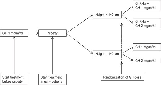Flow chart of treatment regimen.