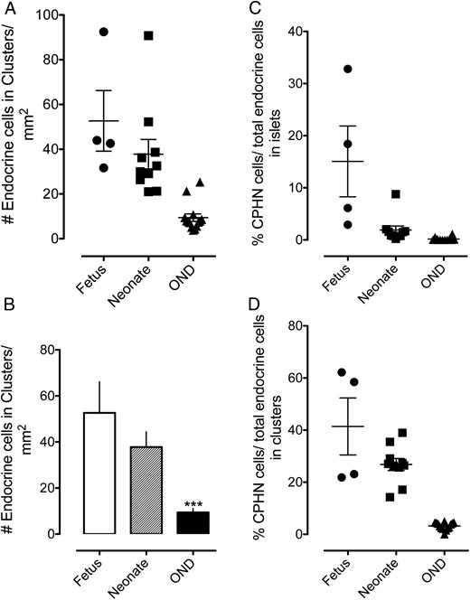 The number of endocrine cells present in scattered clusters of from one to three cells in the exocrine pancreas parenchyma (A, B). Scattered clusters of endocrine cells are most numerous in sections of fetal pancreas, and the frequency decreases after birth. By adulthood, endocrine clusters are relatively infrequent, although they are always present in pancreatic sections (52.66 ± 13.55 vs 9.41 ± 1.67 endocrine cells/mm2; fetus vs OND, ***, P < .0001; 37.80 ± 6.56 vs 9.41 ± 1.67 endocrine cells/mm2, neonate vs OND, ***, P < .0001). The percentage of endocrine cells that are CPHN in human fetus and neonate compared with nondiabetic adult subjects. The results are grouped according to their location, either within islets (C) or in small clusters of up to three endocrine cells (D). CPHN cells are found frequently in fetal and neonatal tissue, with the frequency rapidly declining after birth. Most CPHN cells are found in small clusters of between one and three endocrine cells scattered throughout the exocrine pancreas. Islets are as follows: 15.06% ± 6.79% vs 1.89% ± 0.79% vs 0.17% ± 0.09% CPHN cells in islets, fetus vs neonate vs OND; P < .01, fetus vs neonate; P < .001, fetus vs OND; P < .01, neonate vs OND. Clusters are as follows: 41.40% ± 10.94% vs 26.79% ± 2.31% vs 3.22% ± 0.37% CPHN cells in clusters, fetus vs neonate vs OND; P < .05, fetus vs neonate; fetus and neonate vs OND, P < .0001. Panels A, C, and D: black circles, fetus; black squares, neonate; black triangles, OND; panel B, white bar, fetus; striped bar, neonate; black bar, OND.