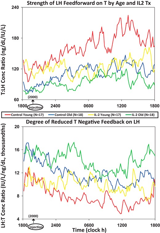 Median T to LH concentration ratios as a feedforward surrogate (top) and, conversely, median LH to T concentration ratios as a feedback surrogate (bottom). LH and T were monitored every 10 minutes over 24 hours in 17 young and 18 older men exposed to saline or combined (low and high) IL-2 doses.