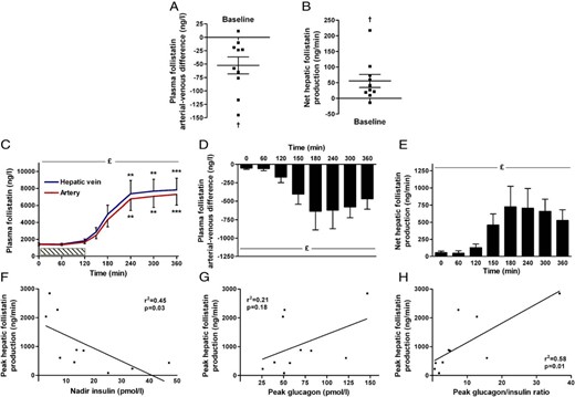 Splanchnic plasma follistatin regulation during exercise in humans (n = 10). At rest, the arterial-venous difference (A) and net production of follistatin (B) are different from zero. Exercise increases plasma follistatin (C), and the arterial-venous difference of the splanchnic circulation (D) and net hepatic production is increased (E). Peak hepatic follistatin production correlate with nadir insulin (F) and peak glucagon/insulin ratio (H), but not with peak glucagon (G). £Significant by one-way ANOVA and *significant by one-way ANOVA and Dunnett's post hoc test (***P < .0001, **P < .01, *P < .05). †Denotes significant by Student's t test. Data are mean ± SEM. (A) and (B) present individual data. Hatched bar (C) indicates duration of the exercise bout.