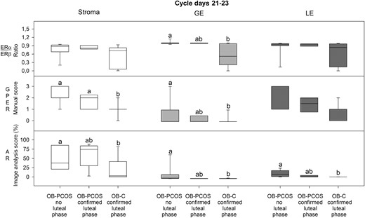 Results from immunohistochemistry evaluations on cycle days 21–23 in endometrial stroma, glandular epithelium (GE) and luminal epithelium (LE) (ERα, ERβ, and AR by image analyses, GPER by manual scoring) from overweight/obese PCOS women with no luteal phase (OB-PCOS no luteal phase, n = 12), PCOS women with confirmed luteal phase (OB-PCOS confirmed luteal phase, n = 6), and overweight/obese controls with confirmed luteal phase (OB-C confirmed luteal phase, n = 10). Box-and-whisker plots represent the median and interquartile range (P25–P75). Boxes with different letter designations are significantly different, ie, P < .05.