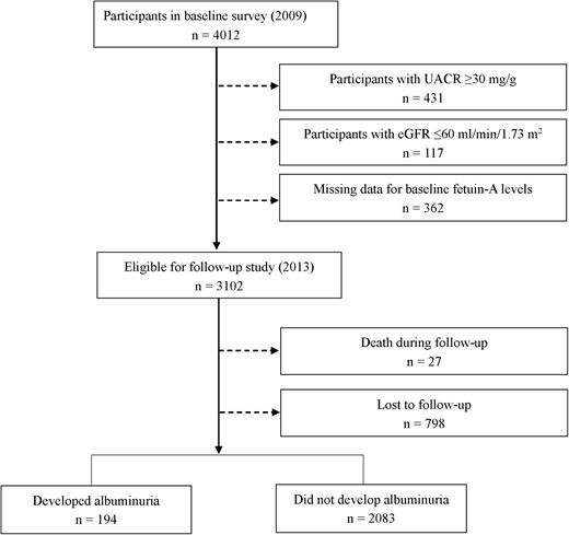Flow chart of study population.