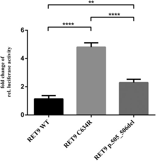 For RET9 p.505_506del, MAPK pathway activation is significantly stronger compared with RET9 WT.
